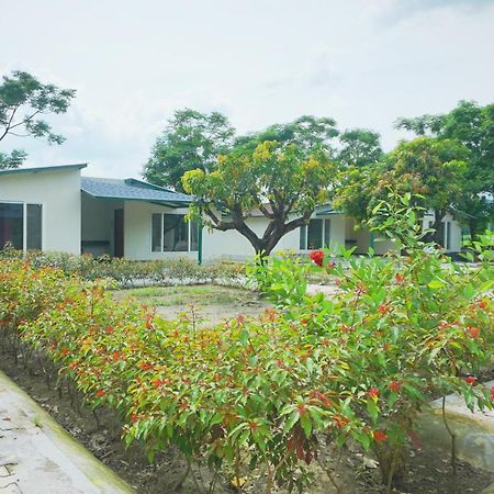 Sukoon - A Wellness Resort, Uttarakhand Chuharpur Exterior foto